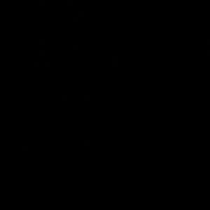 Meet your Posher, Victor